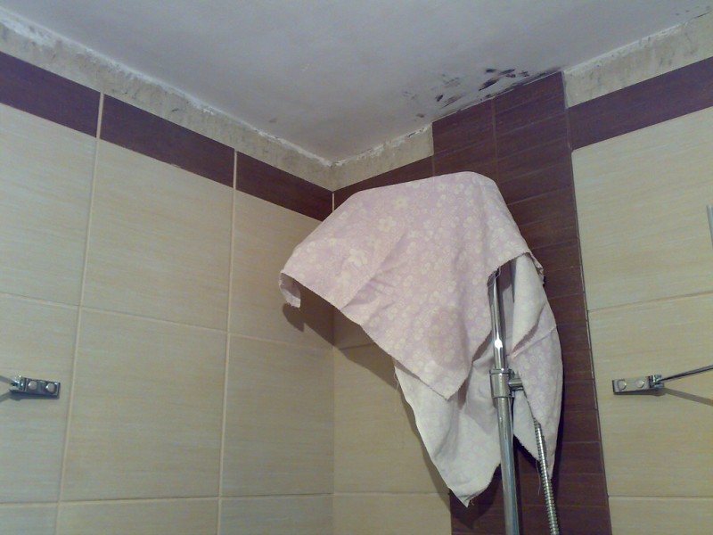 img00004.jpg