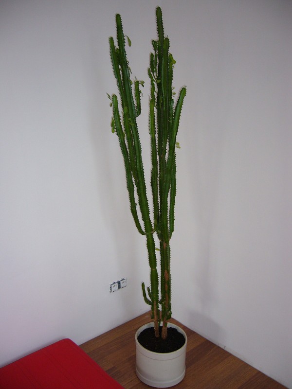 img00001.jpg