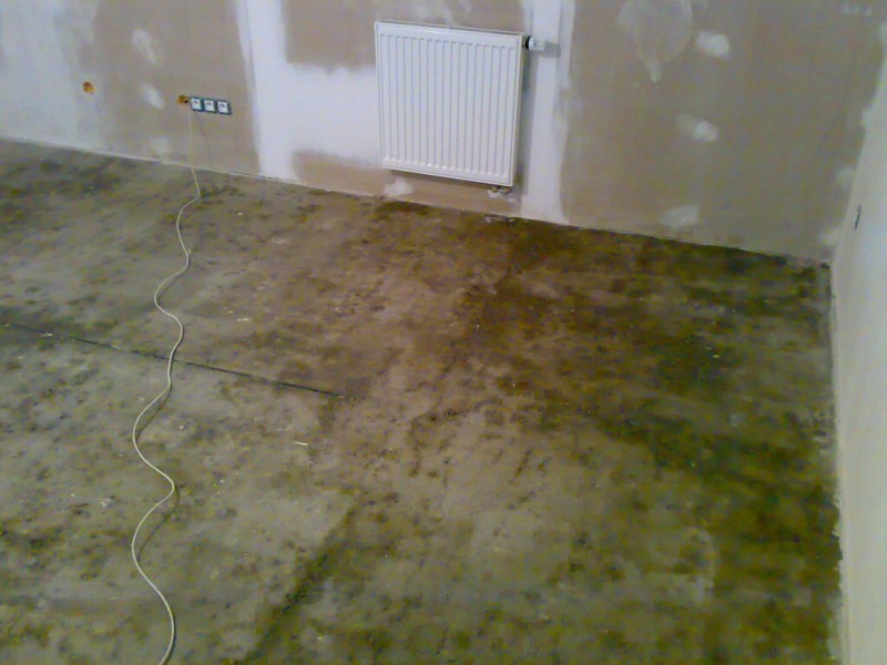 img00019.jpg