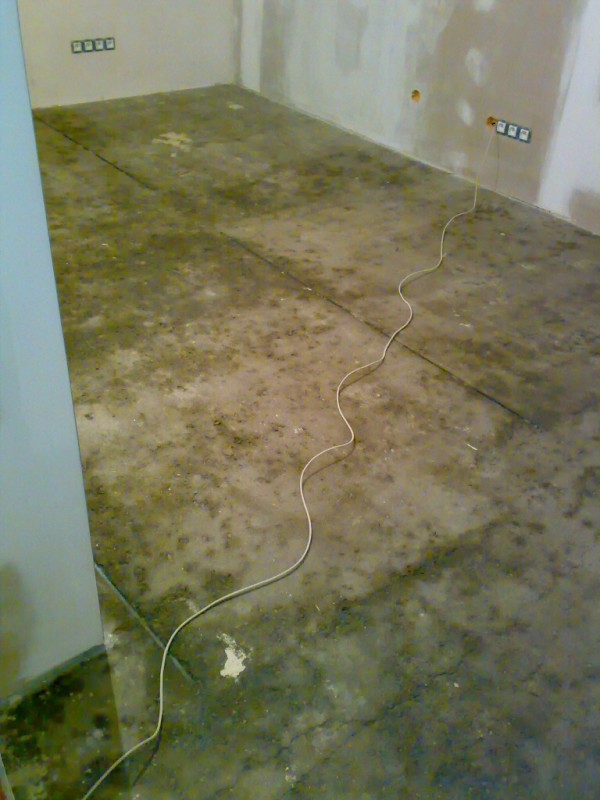 img00020.jpg