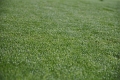 _DSC0357