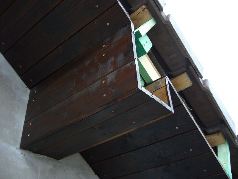 img00008.jpg