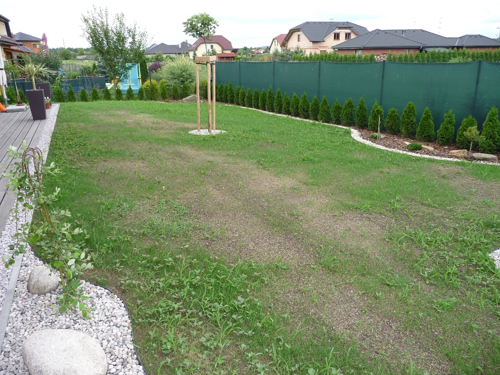 P1060888.JPG