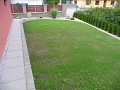 P1060882