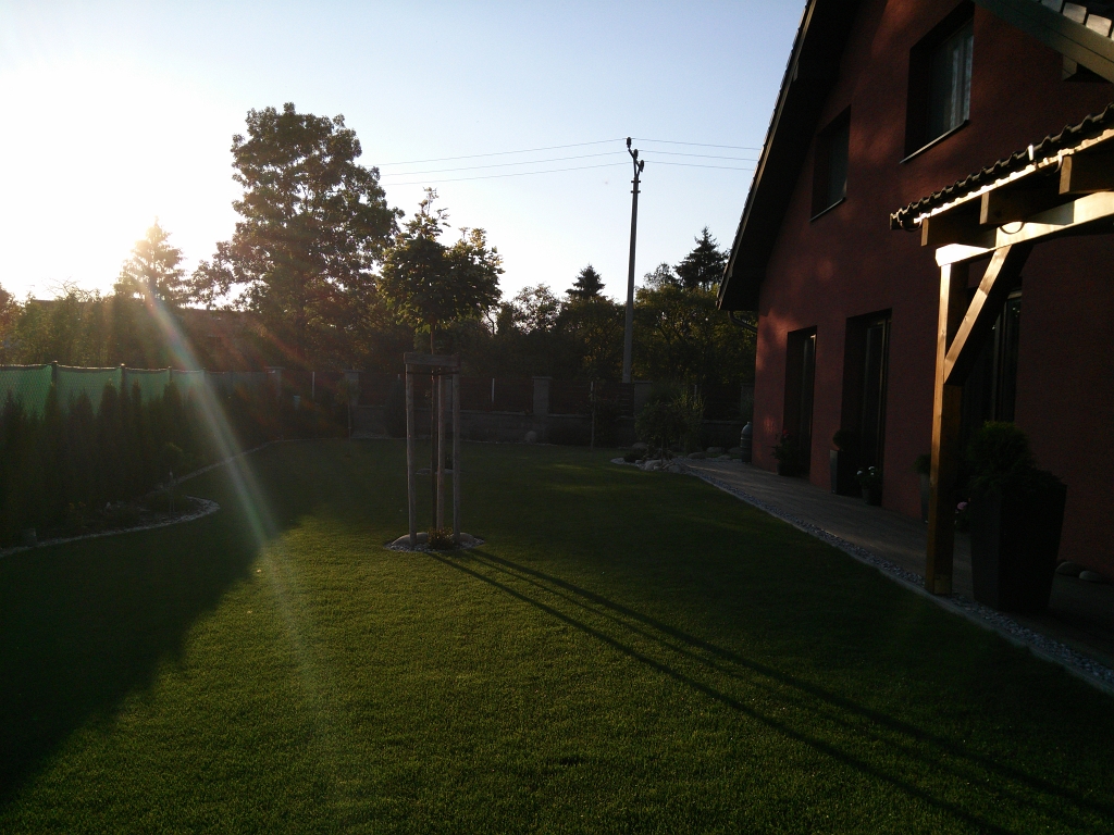 IMG_20130906_183251.jpg