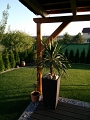 IMG_20130906_183234