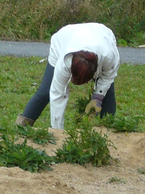 img00004.jpg