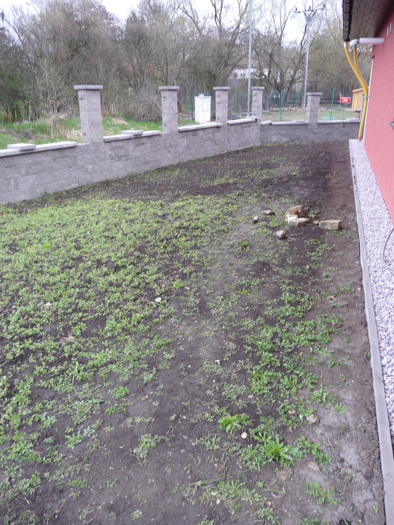 P1030789.JPG