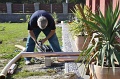 _DSC0035