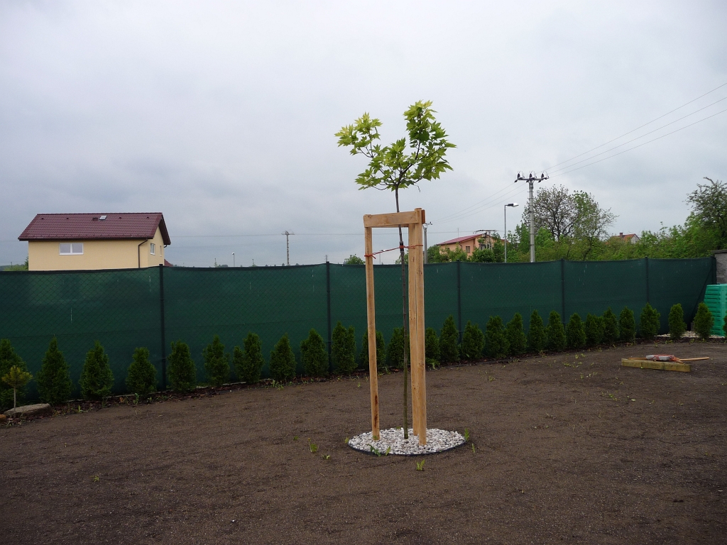 P1060642.JPG