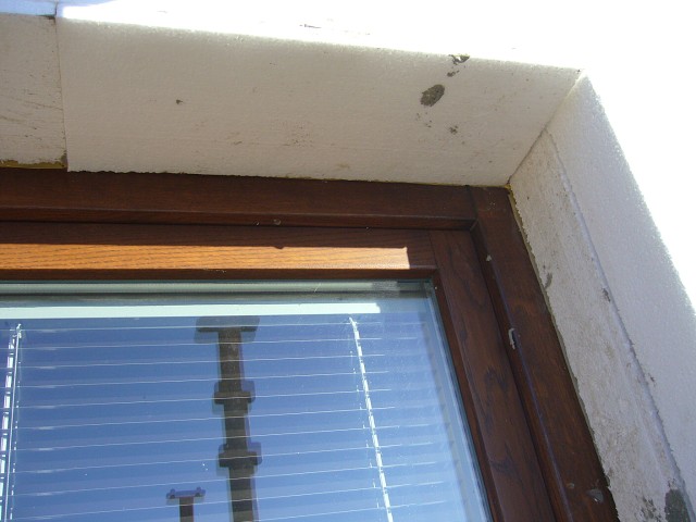 img00008.jpg