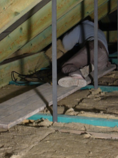 img00006.jpg